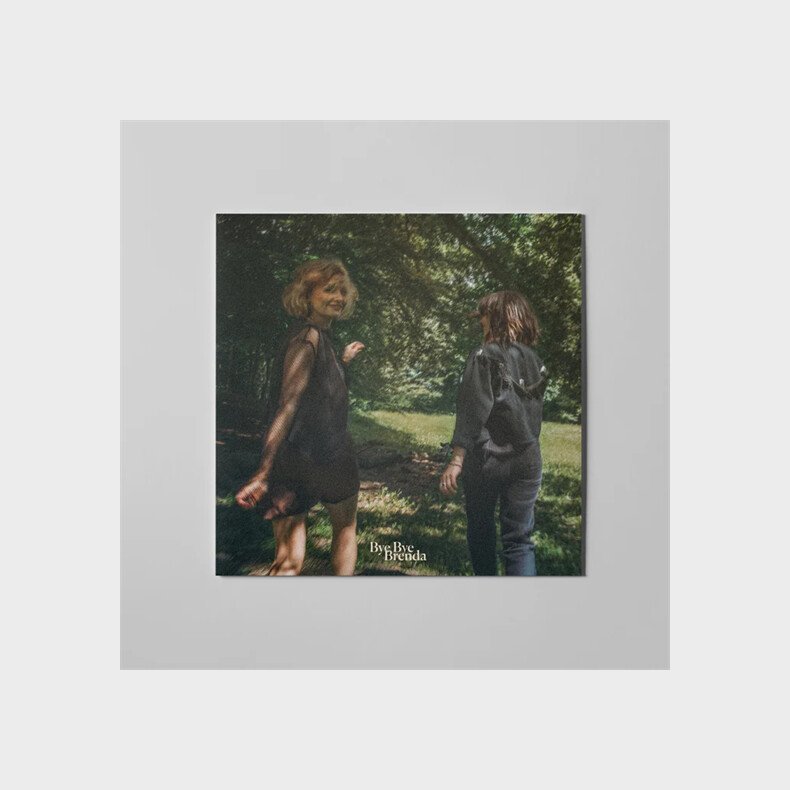 Bye Bye Brenda - Landmarks - Vinyl Lp