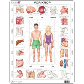 Larsen puslespil - Vores krop