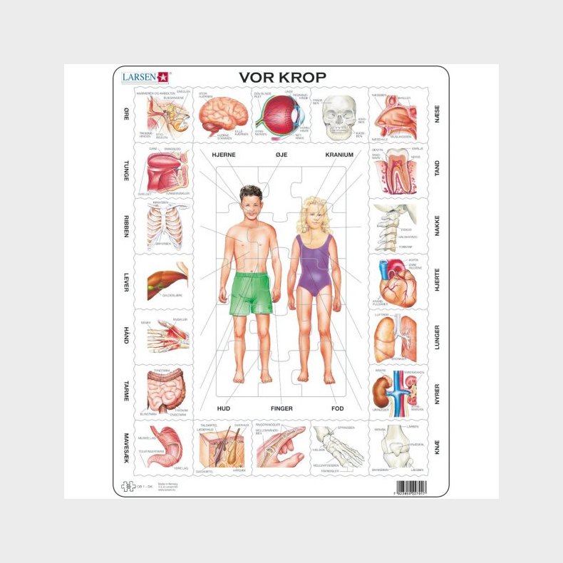 Larsen puslespil - Vores krop