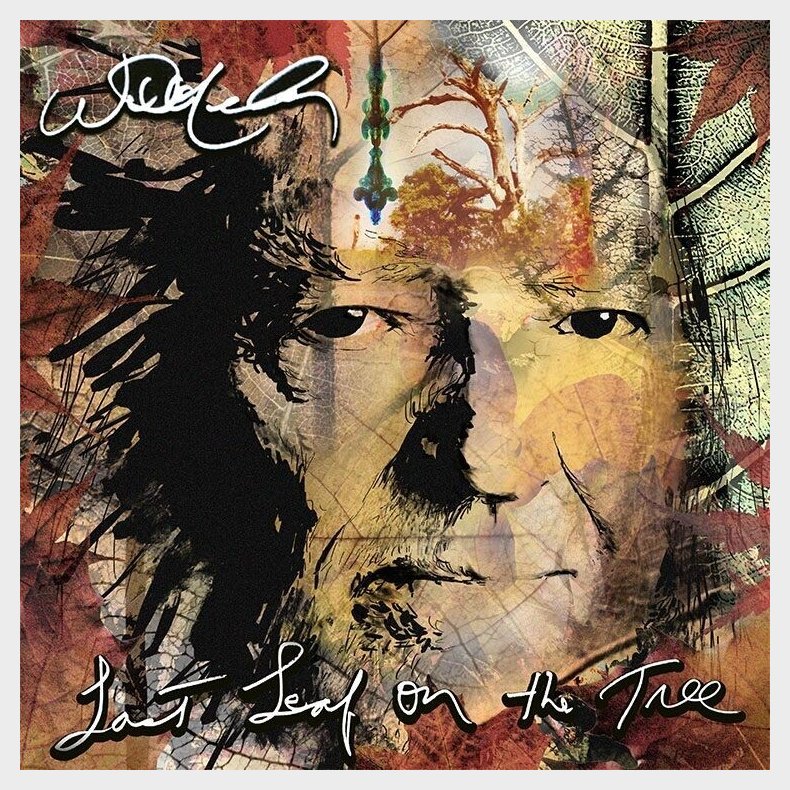 Willie Nelson - Last Leaf On The Tree - Vinyl Lp