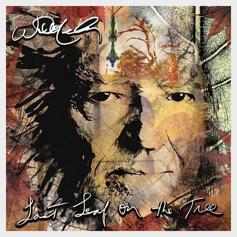Willie Nelson - Last Leaf On The Tree - CD