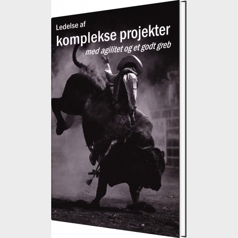 Ledelse Af Komplekse Projekter - Mogens Frank Mikkelsen - Bog