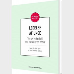 Ledelse Af Unge - Karen Christina Spuur - Bog