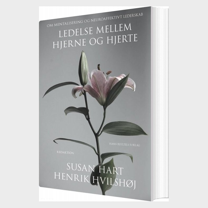 Ledelse Mellem Hjerne Og Hjerte - Henrik Dahl - Bog