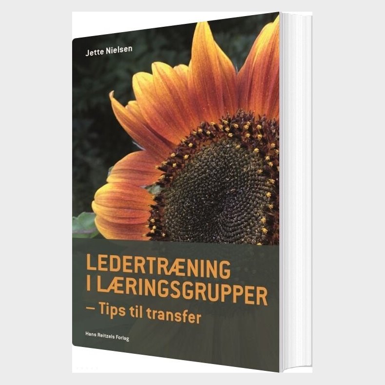 Ledertr�ning I L�ringsgrupper - Jette Nielsen - Bog