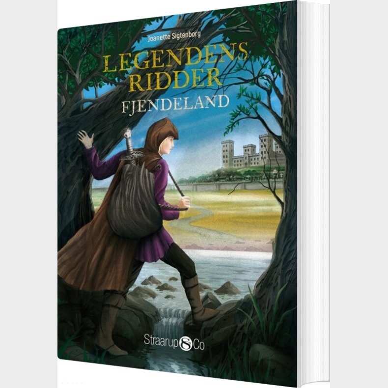 Legendens Ridder - Fjendeland - Jeanette Sigtenborg Rasmussen - Bog