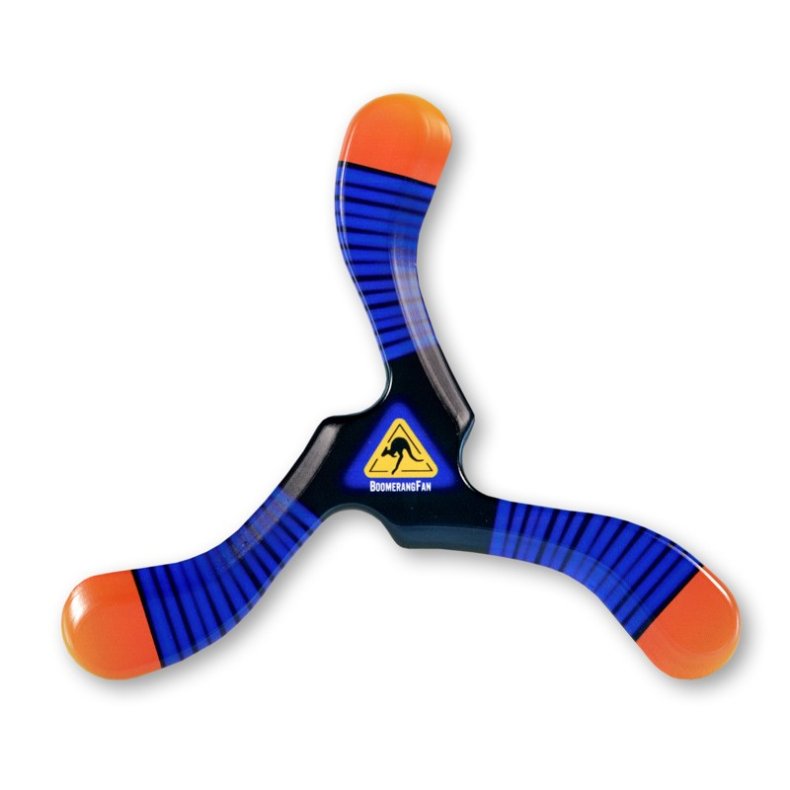 BoomerangFan | Boomerang Zebra