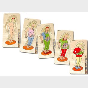 Beleduc | Anatomi - Mor