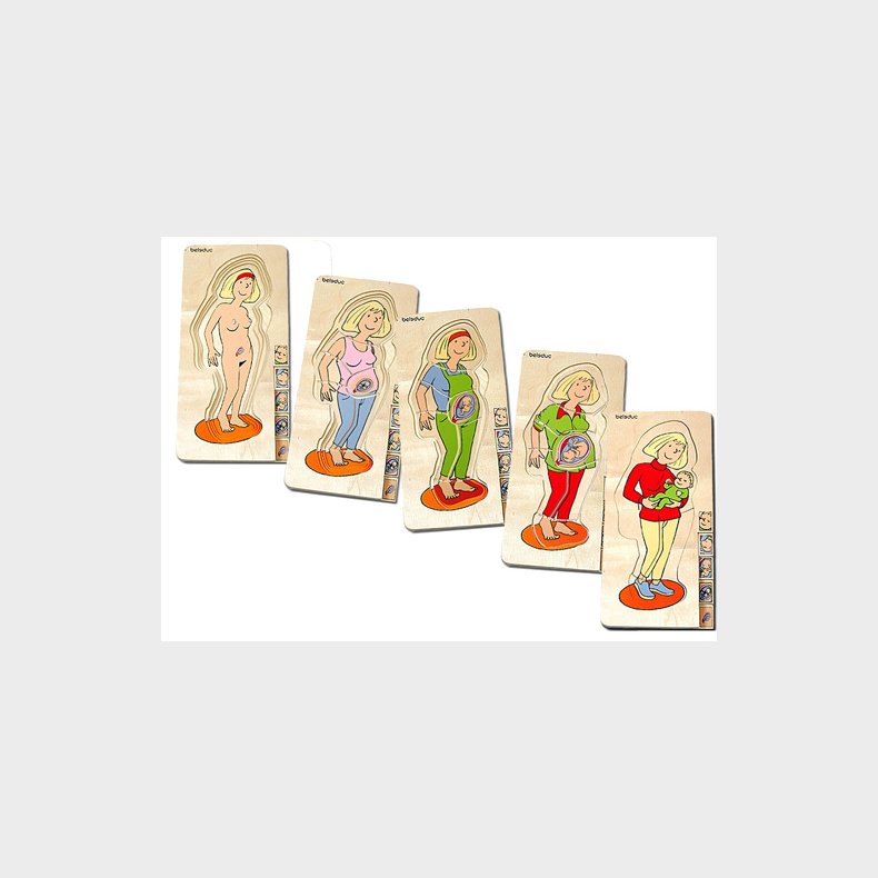 Beleduc | Anatomi - Mor