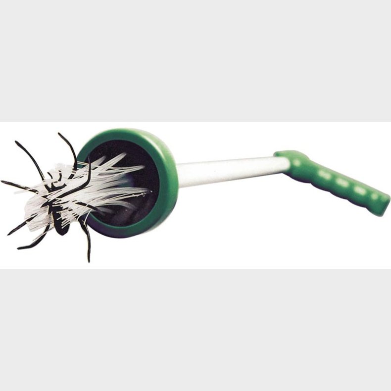 Brainstorm | Edderkoppefanger