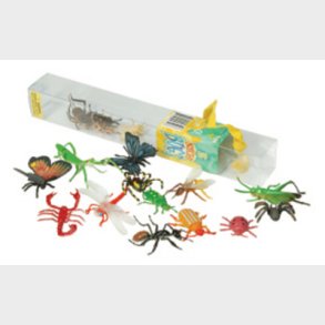 InsectLore | Alverdens insekter