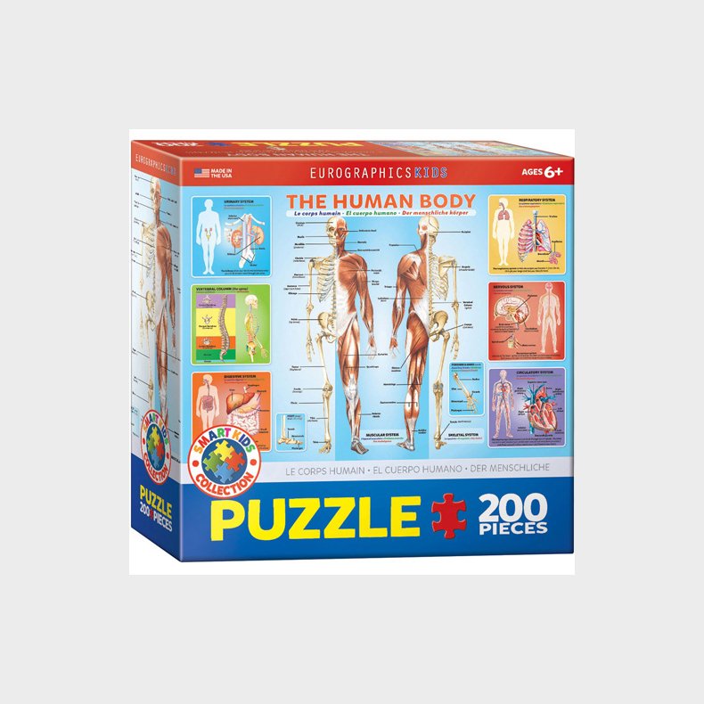 eurographics | Puslespil - kroppen, 200 brikker