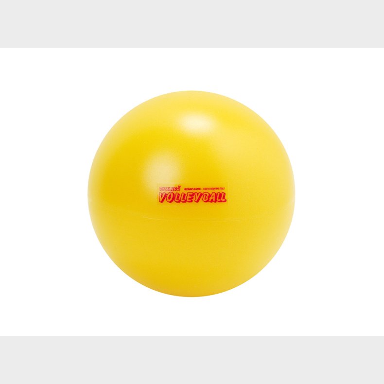 Gymnic | Bold - Volleyball 21cm