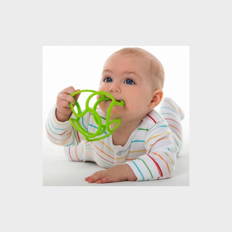 Bolli | Bolli bold - Sansebold i silikone