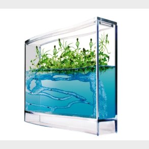 T.A.O.S | Myreakvarium med planter