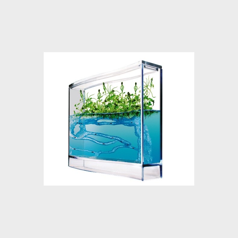 T.A.O.S | Myreakvarium med planter