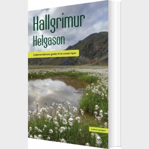 Lejemorderens Guide Til Et Smukt Hjem - Hallgr�mur Helgason - Bog