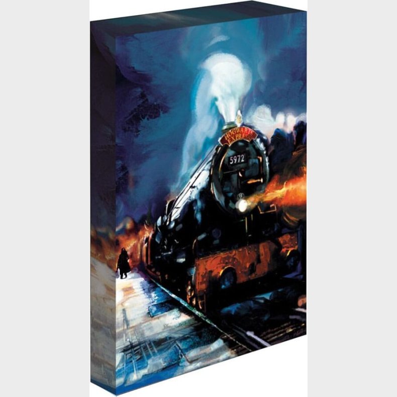 Light Up Canvas Harry Potter (hogwarts Express) 30x40