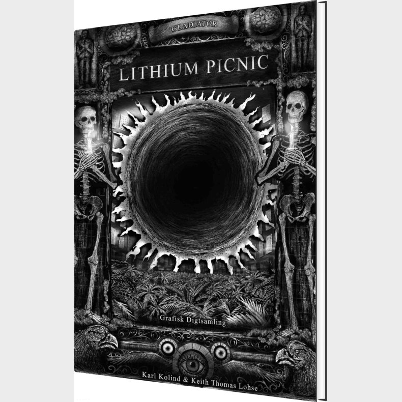 Lithium Picnic - Keith Thomas Lohse - Bog