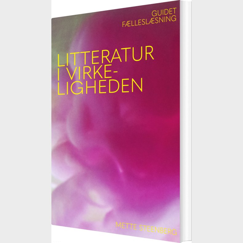 Litteratur I Virkeligheden - Mette Steenberg - Bog