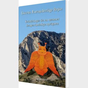 Livets Forunderlige Rejse - Rikke Holm - Bog