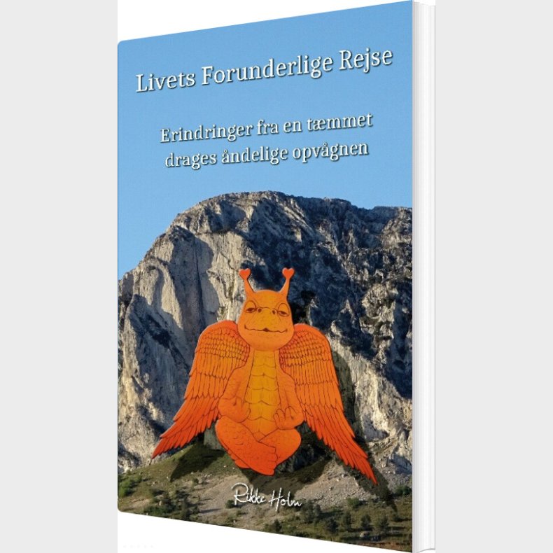 Livets Forunderlige Rejse - Rikke Holm - Bog