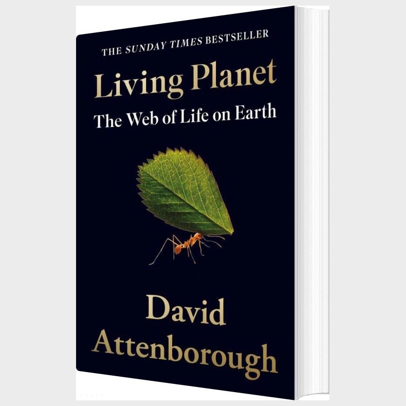Living Planet: The Web Of Life On Earth - David Attenborough - English Book