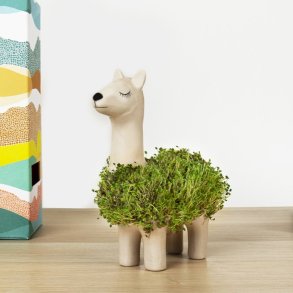 Gift Republic | Dyrk en chia-lama