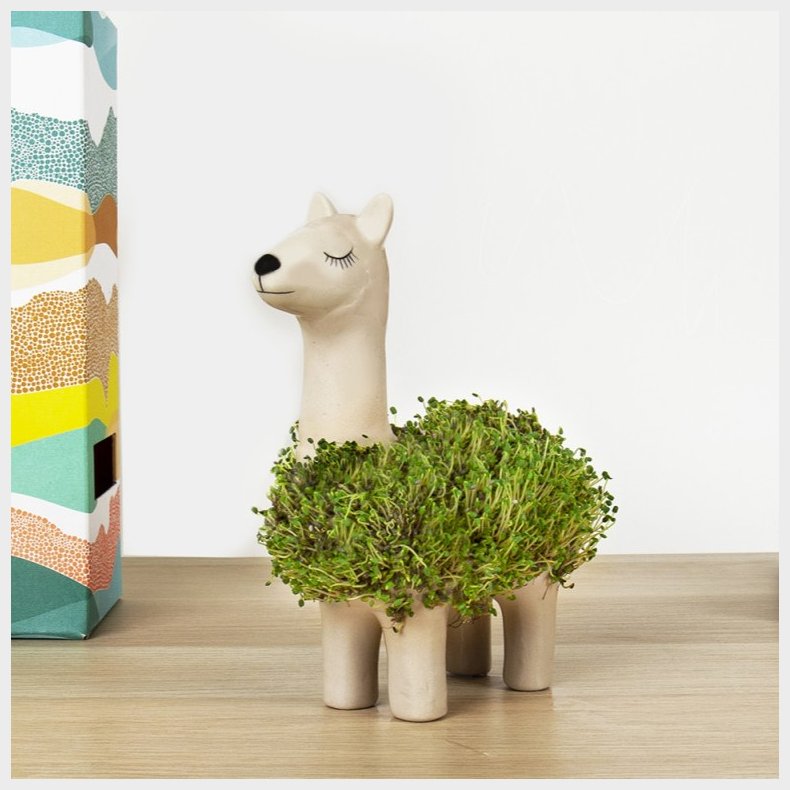 Gift Republic | Dyrk en chia-lama