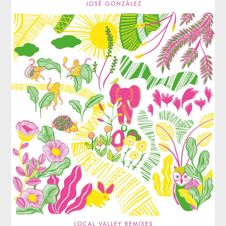 Jose Gonzalez - Local Valley Remixes - Vinyl Lp