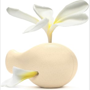 Locomo - Frida - Natur