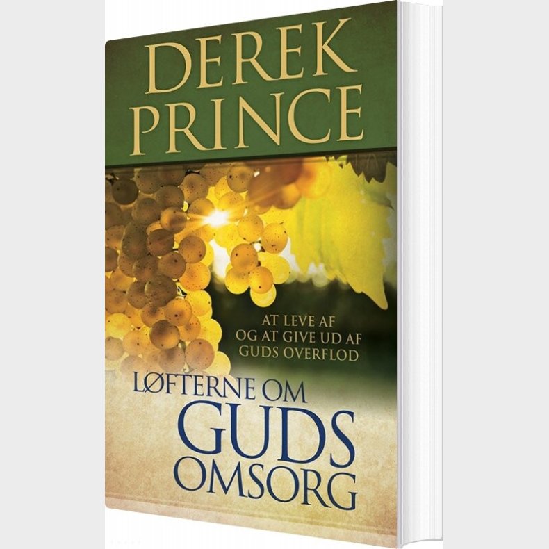 L�fterne Om Guds Omsorg - Derek Prince - Bog