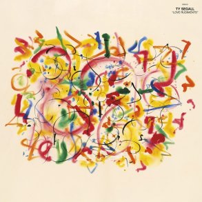 Ty Segall - Love Rudiments - Vinyl Lp