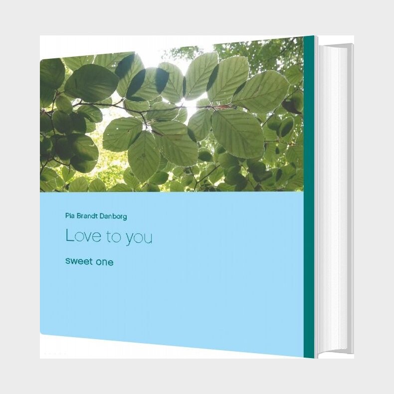 Love To You - Pia Brandt Danborg - English Book