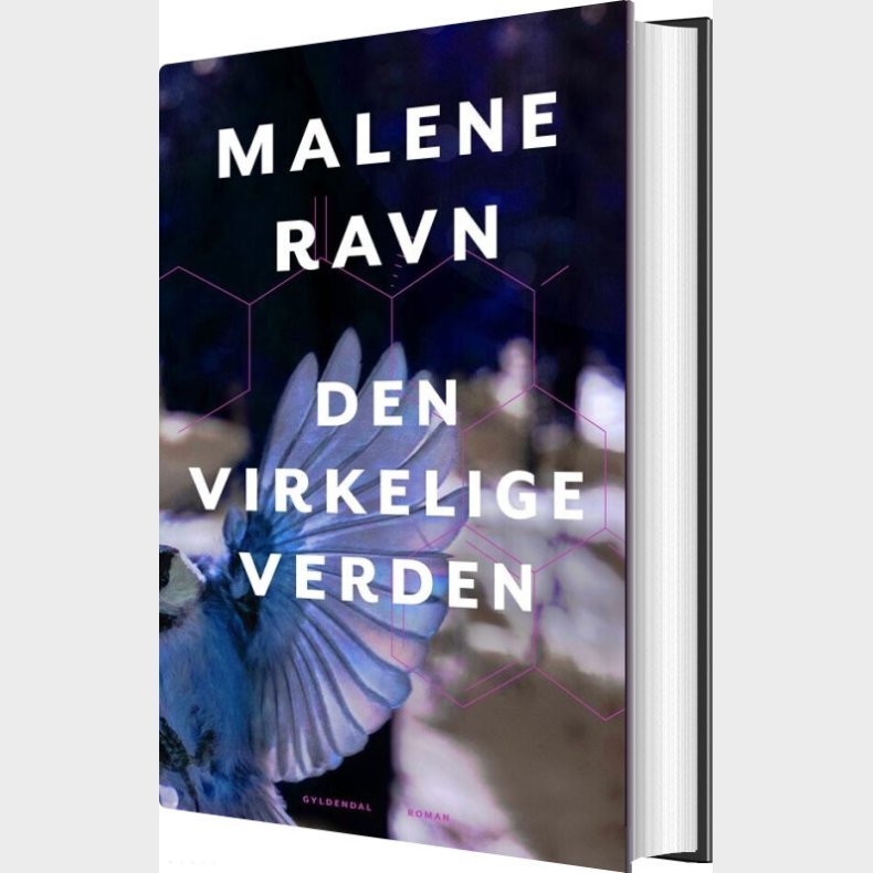 Den Virkelige Verden - Malene Ravn - Bog