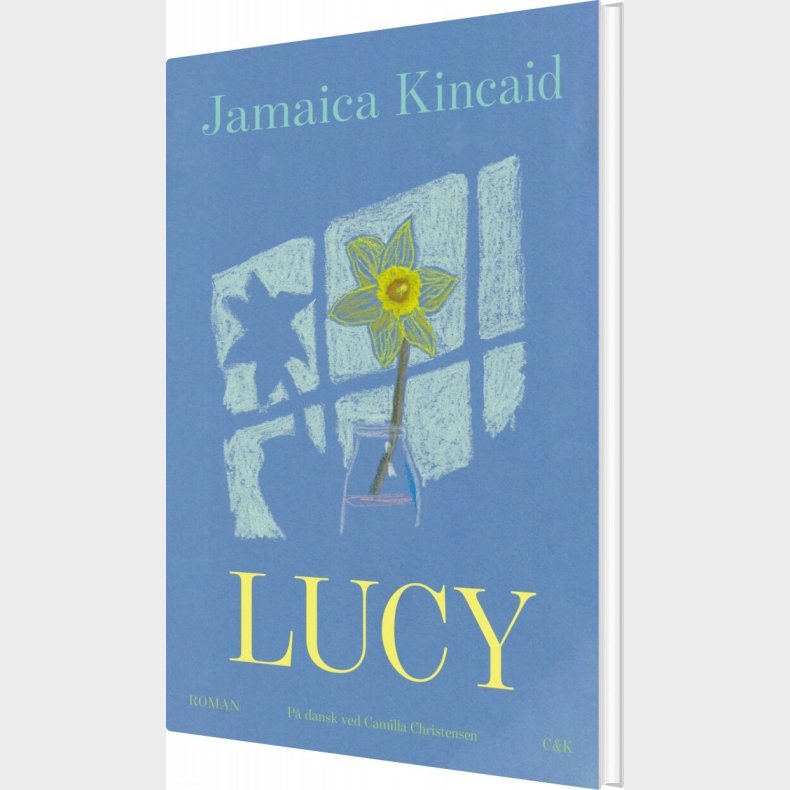 Lucy - Jamaica Kincaid - Bog