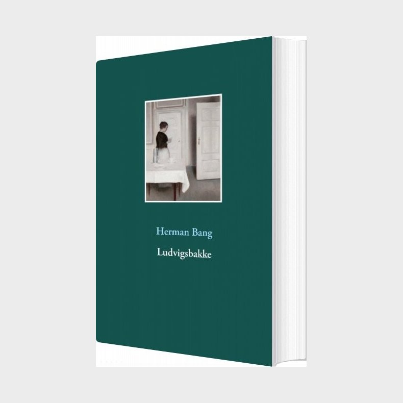 Ludvigsbakke - Herman Bang - Bog