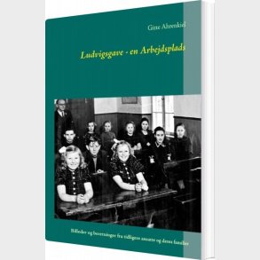 Ludvigsgave - En Arbejdsplads - Gitte Ahrenkiel - Bog