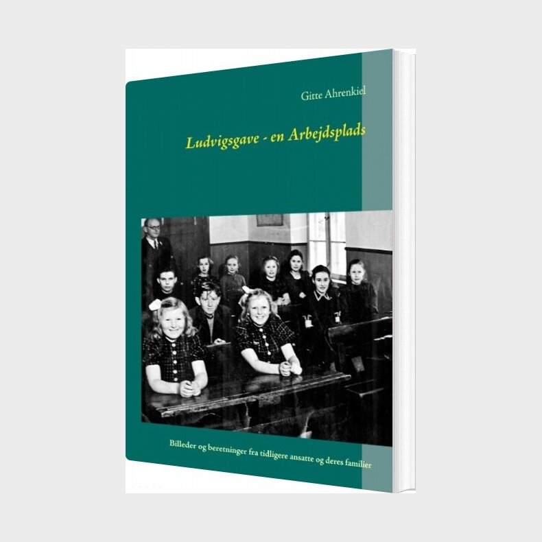 Ludvigsgave - En Arbejdsplads - Gitte Ahrenkiel - Bog