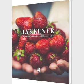 Lykken Er - Mette Odderskov - Bog