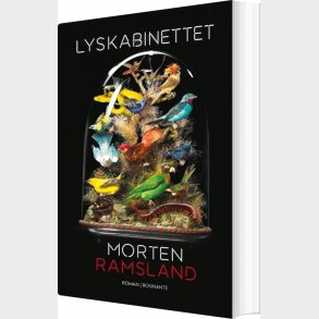 Lyskabinettet - Morten Ramsland - Bog