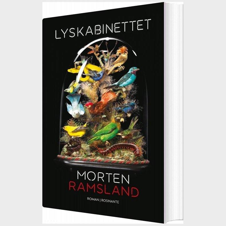 Lyskabinettet - Morten Ramsland - Bog