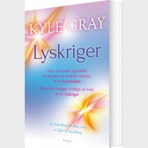 Lyskriger - Kyle Gray - Bog