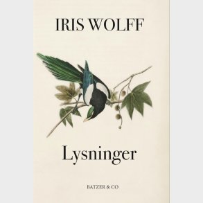 Lysninger - Iris Wolff - Bog