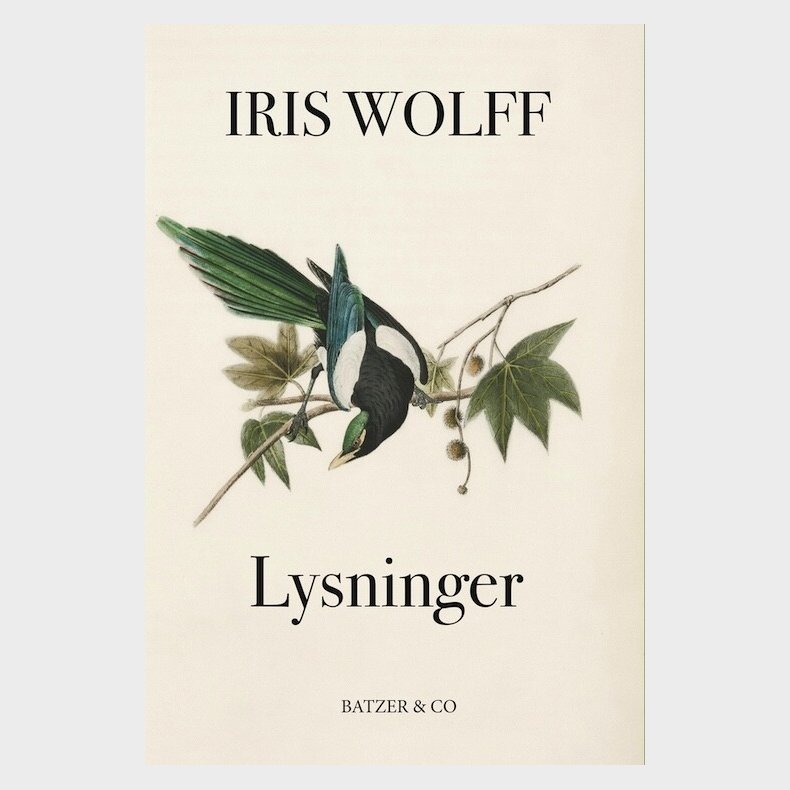 Lysninger - Iris Wolff - Bog