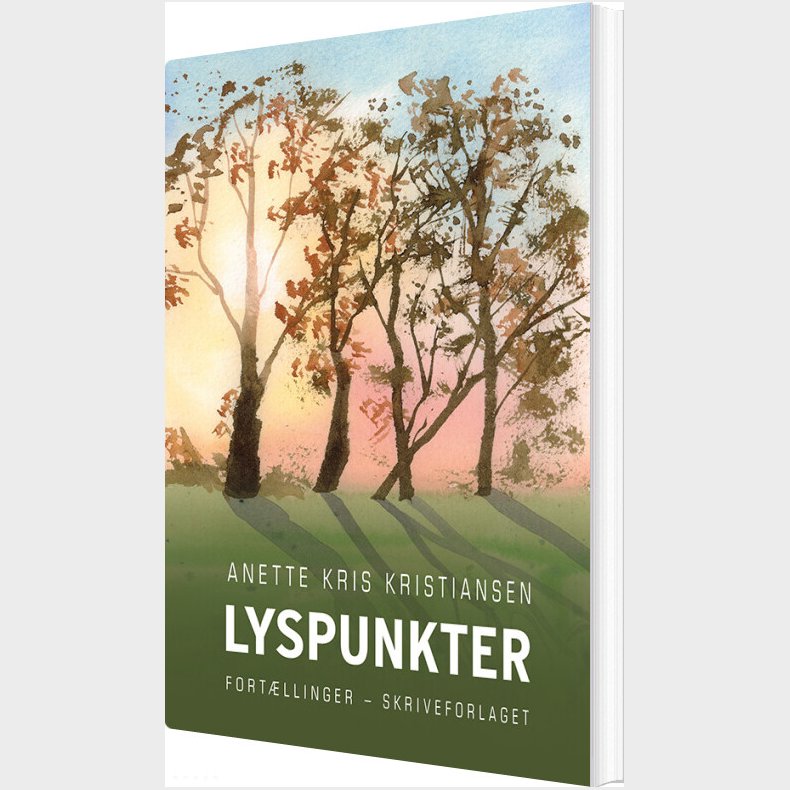 Lyspunkter - Anette Kris Kristiansen - Bog