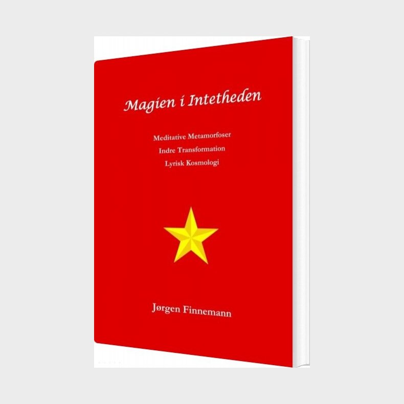 Magien I Intetheden - J�rgen Finnemann - Bog