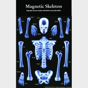 Customworks | Magnetisk skelet