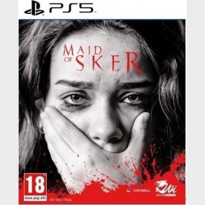 Maid Of Sker - PS5