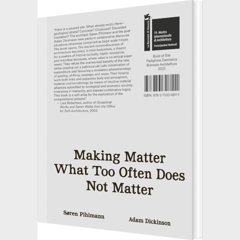 Making Matter What Too Often Does Not Matter - S�ren Pihlmann - English Book